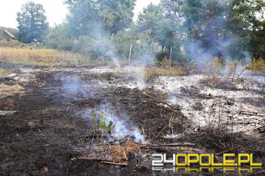 Pożar suchych traw w Roszkowicach