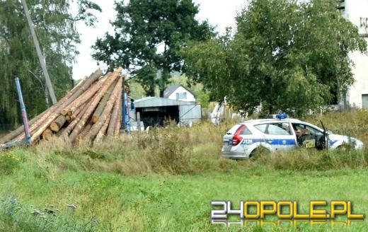 Ciężarówka z drewnem wypadła z drogi
