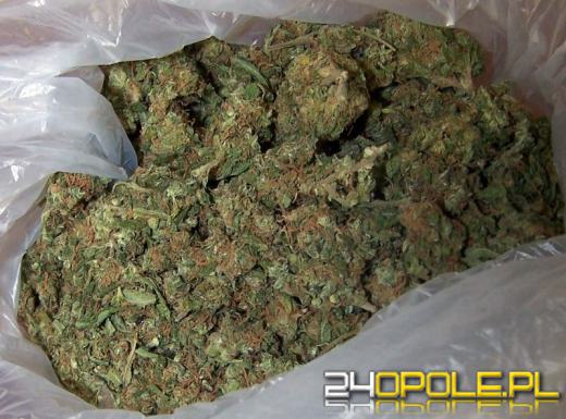 Amfetamina i marihuana u dwóch mieszkańców Głogówka