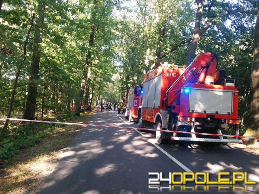 Dwie osoby zginęły w wypadku między Murowem a Kup