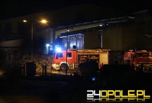 Pożar wysypiska odpadów pod Brzegiem