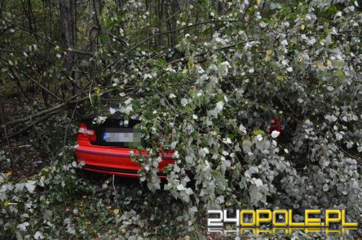 BMW zjechało z drogi i zatrzymało się w lesie
