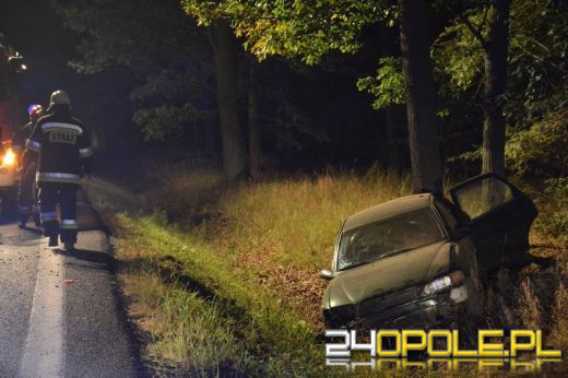 Wieczorny wypadek pod Dąbrową. Ranna kobieta, sprawca uciekł.