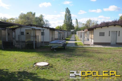 Opolskie schronisko dla zwierząt zostanie wyremontowane. Co z jego rozbudową?