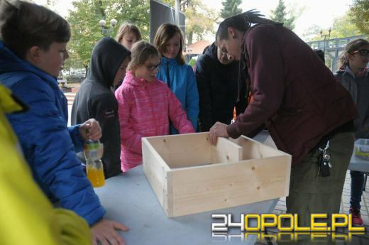 Kup deskę i pomóż jeżom!