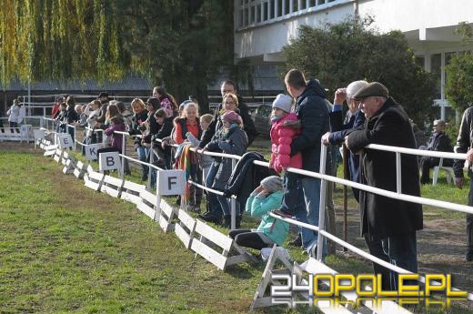 Wielkie święto jeździectwa w LKJ "Ostroga"