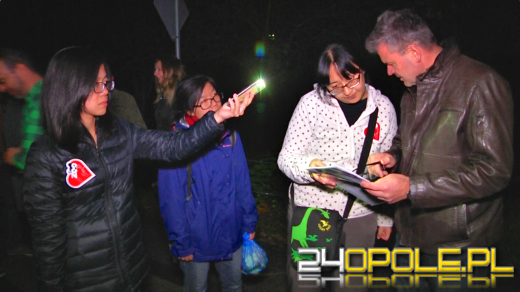 Goryl z opolskiego zoo jest już w drodze na Tajwan