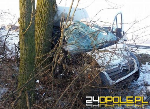 32-latek zasnął za kierownicą i uderzył w drzewo