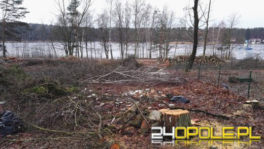 Trwa masowa wycinka drzew w Turawie