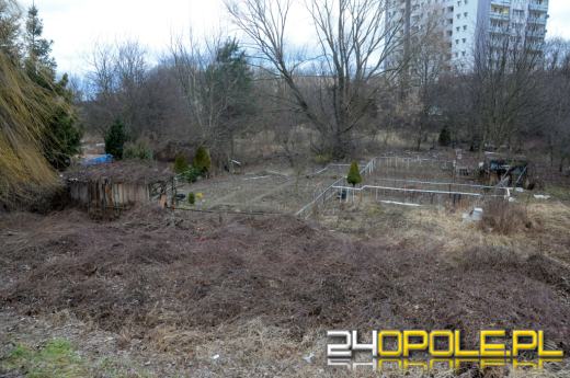 Jest kompromis w sprawie wybiegu dla psów przy ul. Łąkowej