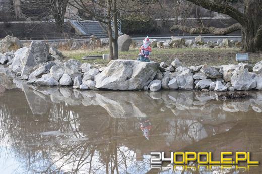 Krasnale pojawiają się i znikają z ulic Opola