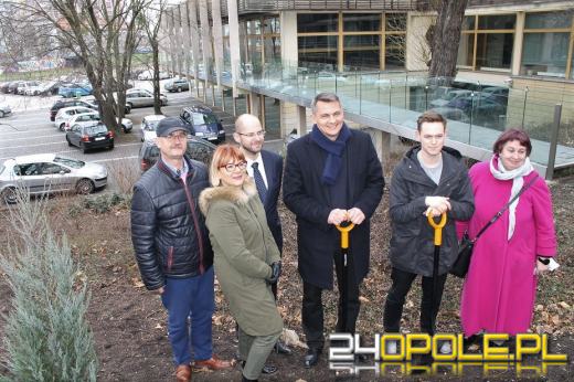 Politycy wzięli łopaty w dłonie i posadzili drzewa