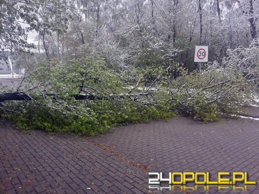 Na Opolszczyznę wróciła zima