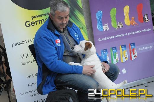 Ponad 4000 psów przyjechało do Opola