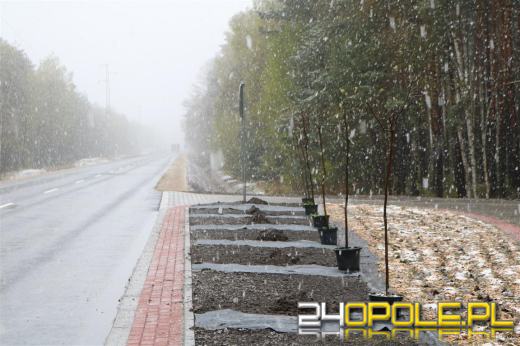 Droga pomiędzy Piotrówką a Zawadzkiem otwarta po remoncie