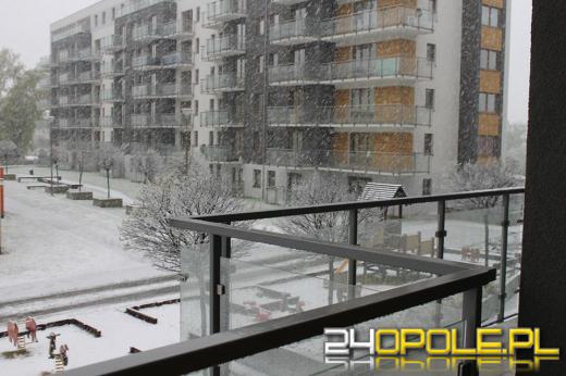 Majówka pełna śniegu? Zima znów powraca