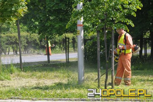 W Opolu trwa wiosenne koszenie traw