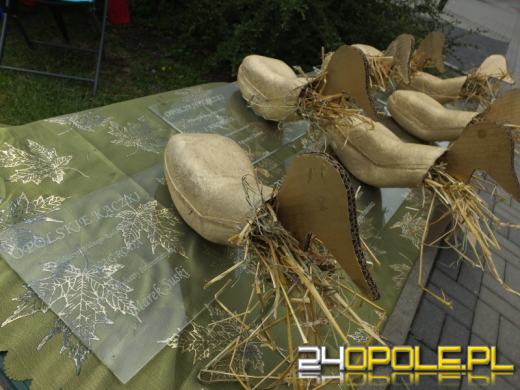 Kurski, Jaki oraz Kaczyński nagrodzeni "Opolskimi Kaczkami" KOD-u