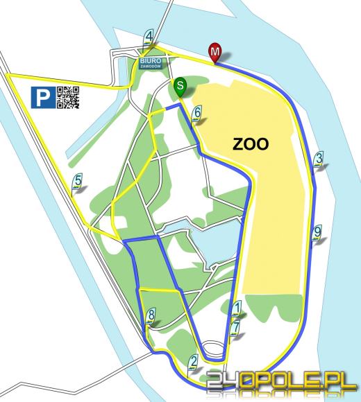 W sobotę odbędzie się XV Atlantis Bieg Opolski. "Zachęcamy do kibicowania"