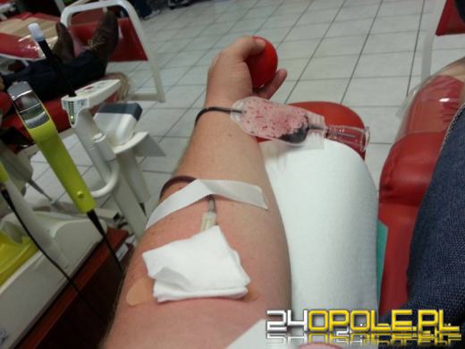 Darmowe MZK dla honorowych dawców krwi? Pomysł prawicowej młodzieżówki