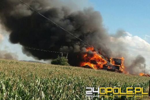 Ogromne straty po pożarze tartaku pod Prudnikiem