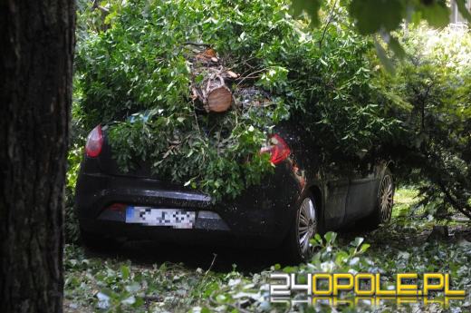 Bilans nocnej burzy: powalone drzewa i przygniecione auta