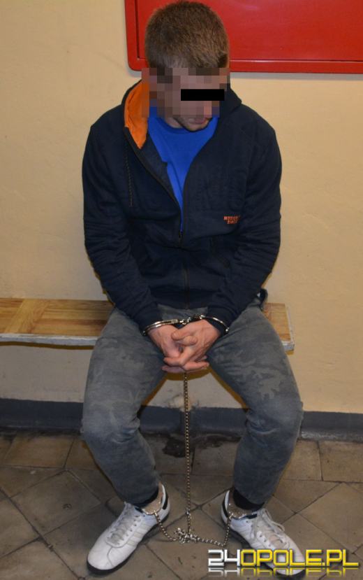 Włamywali się do sklepów, wpadli w policyjną zasadzkę 