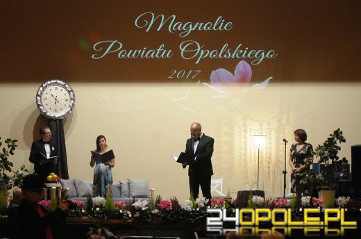 Magnolie Powiatu Opolskiego przyznane