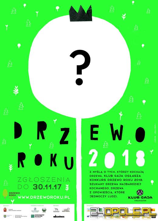 Kochasz drzewa? Weź udział w konkursie!
