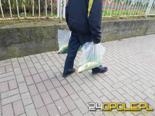 Kupuj zabitego karpia, nie męcz go