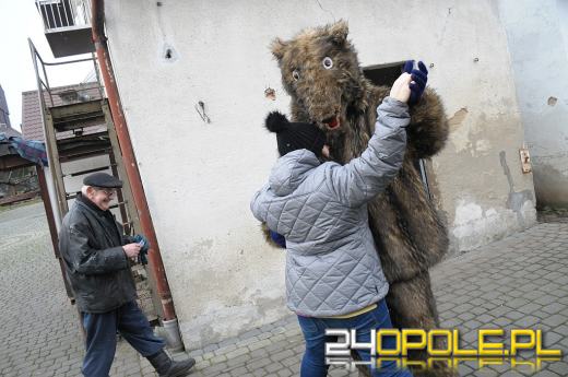 W Opolu-Winowie trwa wodzenie niedźwiedzia