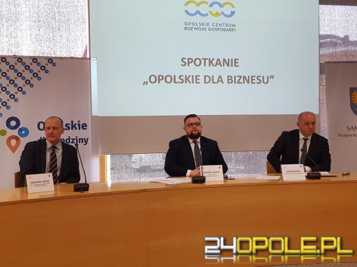 Miliony złotych czekają na opolskich przedsiębiorców