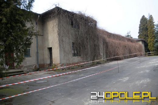 Opolskie zoo bez dofinansowania na budowę akwariów. Płaszczek nie będzie?