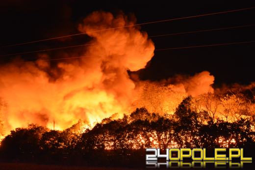 Pożar składowiska śmieci w Dąbrowie Niemodlińskiej. W akcji ponad 30 jednostek straży