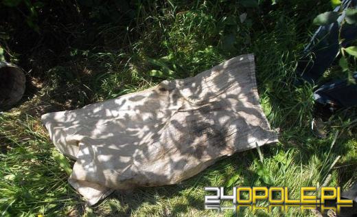 Młoda suczka znaleziona w worku przy drodze. Sprawca poszukiwany