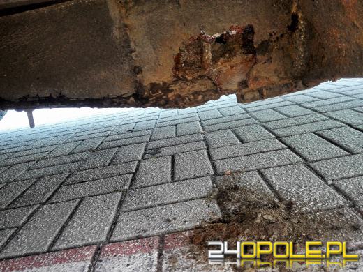 Przerdzewiałe elementy, dziury na wylot - takim autobusem dzieci miały jechać na wycieczkę