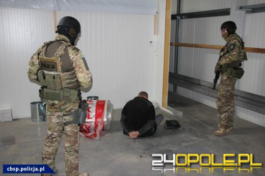 CBŚP zlikwidowało trzy duże plantacje konopi 