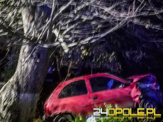 Oldrzyszowice: pijany wsiadł za kierownicę i wjechał w płot