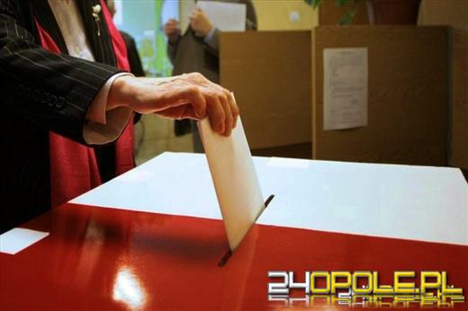 O co najczęściej Polacy pytają Google? Niektóre dane zaskakują