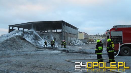 Strażacy kilkanaście razy interweniowali w noc sylwestrową