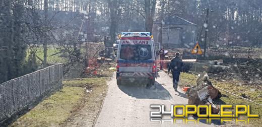 50-latek zmarł przygnieciony przez drzewo. Pracował przy wycince