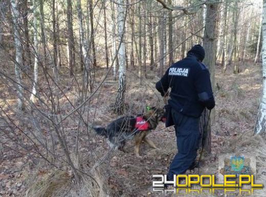 Po kłótni z żoną wyszedł z domu, odnalazł go w lesie pies tropiący