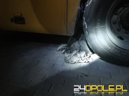 Dziś w nocy strażacy dwa razy gasili podpalone pojazdy w Lewinie Brzeskim