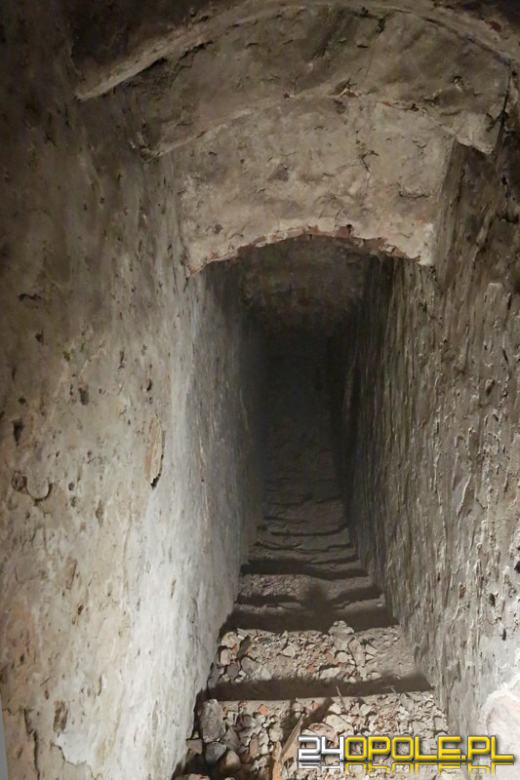 Podczas prac konserwatorskich odkryto dodatkowe pomieszczenie w opolskiej Katedrze