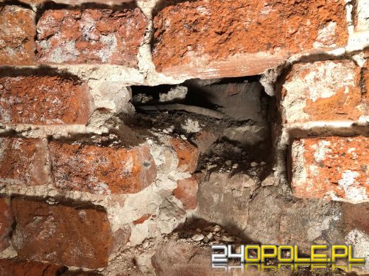 Podczas prac konserwatorskich odkryto dodatkowe pomieszczenie w opolskiej Katedrze