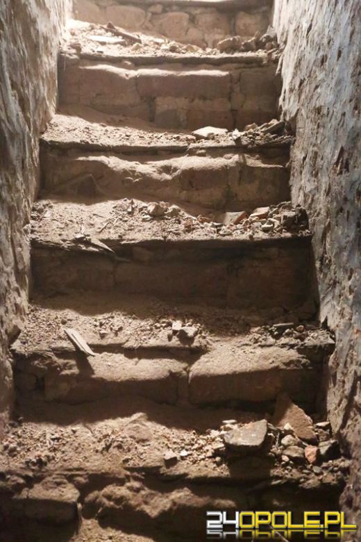 Podczas prac konserwatorskich odkryto dodatkowe pomieszczenie w opolskiej Katedrze