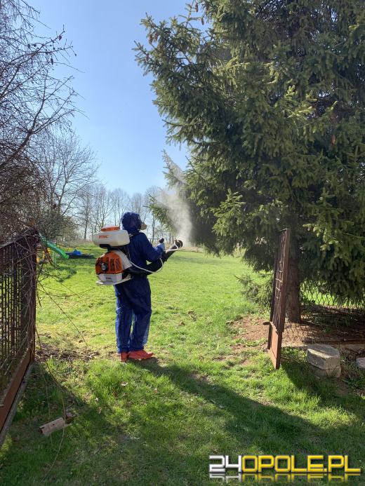 Spędzasz ciepły weekend na łonie natury? Sprawdż jak chronić się przed kleszczami