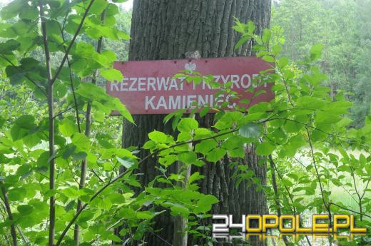 Opuszczona wioska pod Opolem. Jak wygląda?