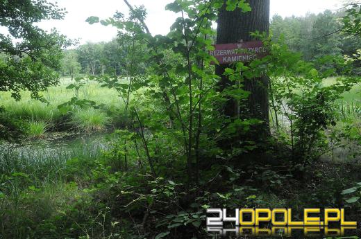 Opuszczona wioska pod Opolem. Jak wygląda?