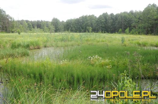 Opuszczona wioska pod Opolem. Jak wygląda?